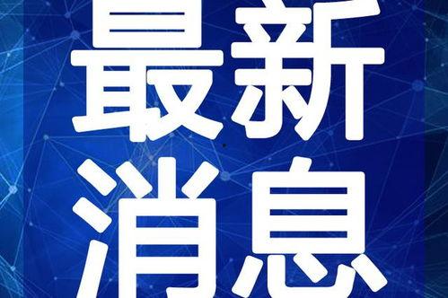 威海酒店爆料视频最新,揭露惊人内幕，品质与服务大揭秘