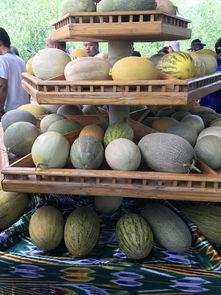 新疆吃瓜最新爆料,揭秘最新爆料背后的真相与争议